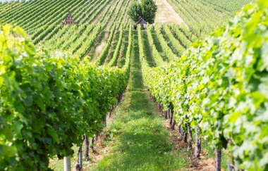 Rundwanderweg 2 am Galgenberg - Jägerhaus