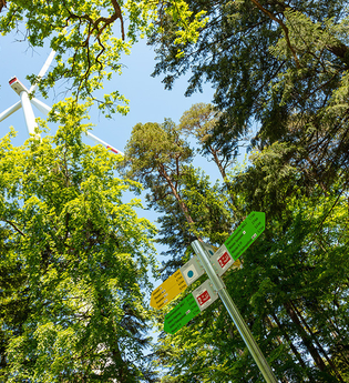 Rundwanderweg 2b -  Geopfad, Windräder des Naturstrompeichers und Unterbecken