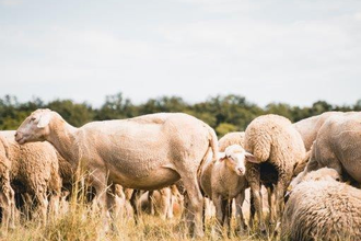 Rundwanderweg 3 Jägerhaus - Waldheide