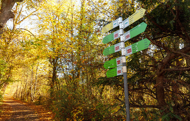 Rundwanderweg 3 Rund um den Kirchberg