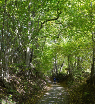 Rundwanderweg 3 Rund um den Kirchberg