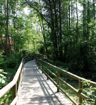 Rundwanderweg 4 - Vom Jägerhaus ins Köpfertal