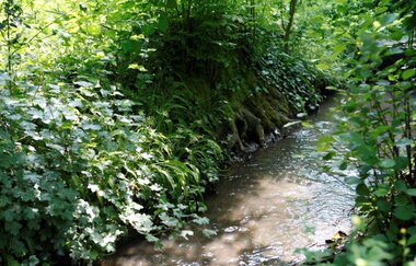 Rundwanderweg 4 - Vom Jägerhaus ins Köpfertal