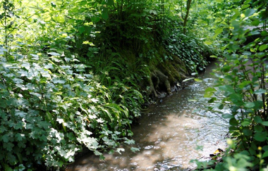 Rundwanderweg 4 - Vom Jägerhaus ins Köpfertal