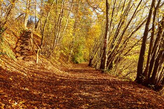 Rundwanderweg 4 Gaildorfer Runde