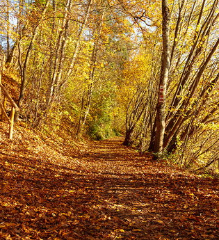 Rundwanderweg 4 Gaildorfer Runde