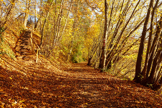 Rundwanderweg 4 Gaildorfer Runde