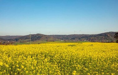 Rundwanderweg 5 Rund um den Kieselberg