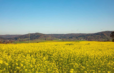Rundwanderweg 5 Rund um den Kieselberg