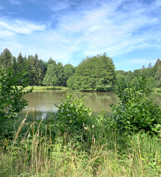 Rundwanderweg 6 Rund um den  Haspelsee