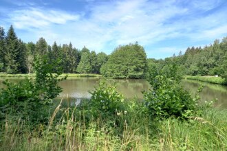 Rundwanderweg 6 Rund um den  Haspelsee