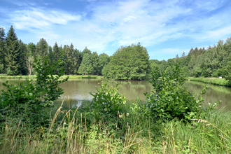 Rundwanderweg 6 Rund um den  Haspelsee