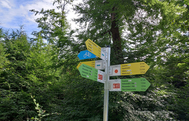 Rundwanderweg 6 Rund um den  Haspelsee