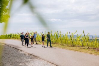 Wandergruppe wandert in den Weinbergen | © Hohenloher Perlen