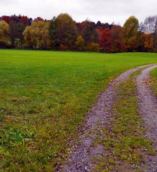 Rundwanderweg in Diefenbach - Kulturlandschaft im Wandel