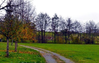 Rundwanderweg in Diefenbach - Kulturlandschaft im Wandel