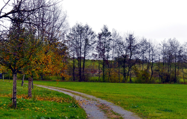 Rundwanderweg in Diefenbach - Kulturlandschaft im Wandel