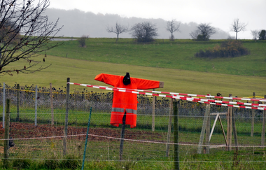 Rundwanderweg in Diefenbach - Kulturlandschaft im Wandel