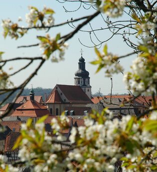Rundwanderweg Kraichtal-Gochsheim | © Stadtmarketing Kraichtal