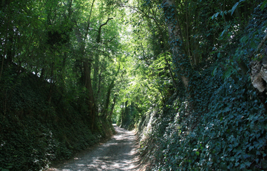 Rundwanderweg Kraichtal-Gochsheim | © Stadtmarketing Kraichtal