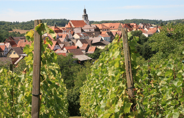 Rundwanderweg Kraichtal-Gochsheim | © Stadtmarketing Kraichtal