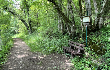 Rundwanderweg RW 7 Rund um Langenburg | © Hohenlohe Schwäbisch Hall