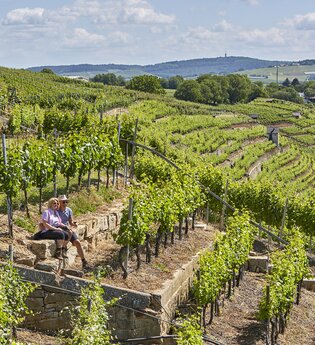 Pausen in den Lauffener Weinbergen | Lauffen a.N. | HeilbronnerLand | © Neckar-Zaber-Tourismus