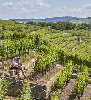 Pausen in den Lauffener Weinbergen | Lauffen a.N. | HeilbronnerLand | © Neckar-Zaber-Tourismus