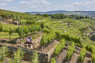 Pausen in den Lauffener Weinbergen | Lauffen a.N. | HeilbronnerLand | © Neckar-Zaber-Tourismus