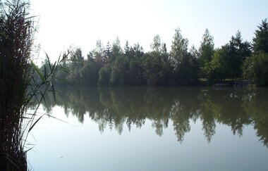 Sachsenheimer Weg | © Stadt Sachsenheim