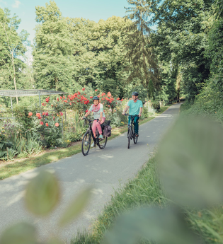 Württemberger Weinradweg im Schozachtal | HeilbronnerLand | © Touristikgemeinschaft HeilbronnerLand