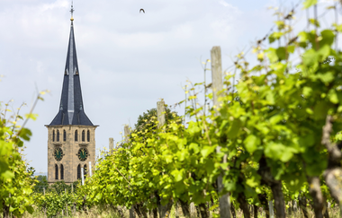 SB2 Neckar-Schozach Runde