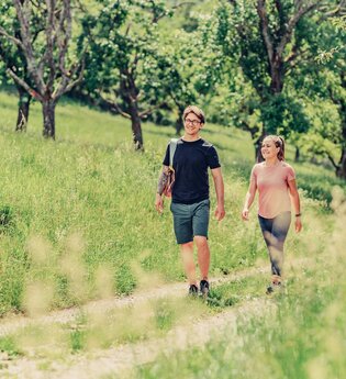 Wanderer Streuobstwiese | HeilbronnerLand | © Touristikgemeinschaft HeilbronnerLand