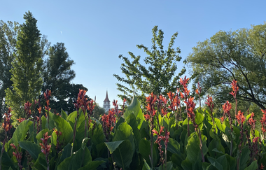 Ilsfeld | HeilbronnerLand | © Gemeinde Ilsfeld