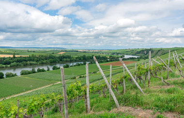 Blick auf den Neckar von Neckarwestheim | © ©artofpoggel.de Kristof Poggel