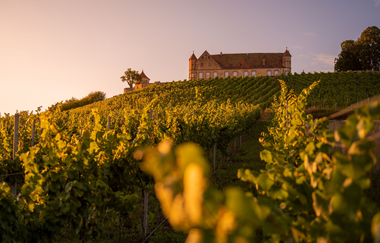 Burg Stettenfels | Untergruppenbach | HeilbronnerLand | © Tourisitkgemeinschaft HeilbronnerLand