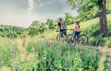 Naturparktouren HeilbronnerLand - Radfahren im Naturpark Schwäbisch-Fränkischer Wald | Sauklinge Löwenstein | © Touristikgemeinschaft HeilbronnerLand