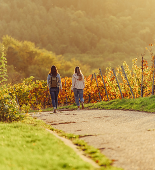 Weinwandern im HeilbronnerLand | © Touristikgemeinschaft HeilbronnerLand e.V.