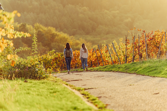 Weinwandern im HeilbronnerLand | © Touristikgemeinschaft HeilbronnerLand e.V.
