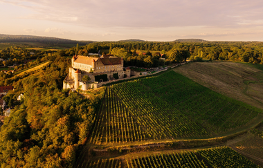 Burg Stettenfels im Abendlicht zwischen den Weinbergen | © Touristikgemeinschaft HeilbronnerLand e.V.