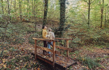 Brücke am Koppenbrünnele | © Touristikgemeinschaft HeilbronnerLand e.V.