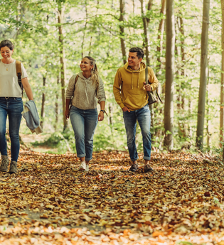 Wandern im herbstlichen Wald | Beilstein | © Touristikgemeinschaft HeilbronnerLand e.V.