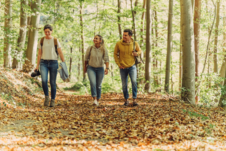 Wandern im herbstlichen Wald | Beilstein | © Touristikgemeinschaft HeilbronnerLand e.V.