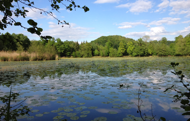 Bleichsee Löwenstein | HeilbronnerLand | © Touristikgemeinschaft HeilbronnerLand