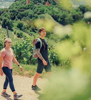 Württembergischer Weinwanderweg bei Beilstein | HeilbronnerLand | © Touristikgemeinschaft HeilbronnerLand