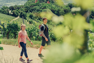 Württembergischer Weinwanderweg bei Beilstein | HeilbronnerLand | © Touristikgemeinschaft HeilbronnerLand