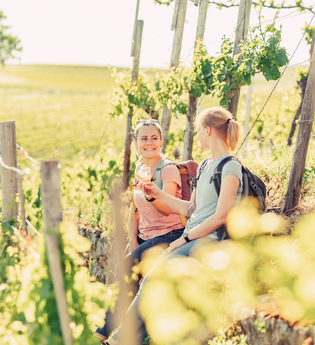 Weinwandern in den Steillagen bei Lauffen | © Touristikgemeinschaft HeilbronnerLand e.V.