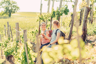 Weinwandern in den Steillagen bei Lauffen | © Touristikgemeinschaft HeilbronnerLand e.V.