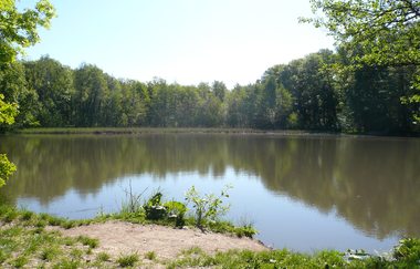 Annasee Beilstein | HeilbronnerLand | © Touristikgemeinschaft HeilbronnerLand e.V.