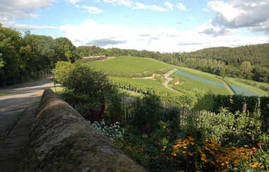 Ausblick Burg Wildeck | Abstatt | HeilbronnerLand | © Touristikgemeinschaft HeilbronnerLand
